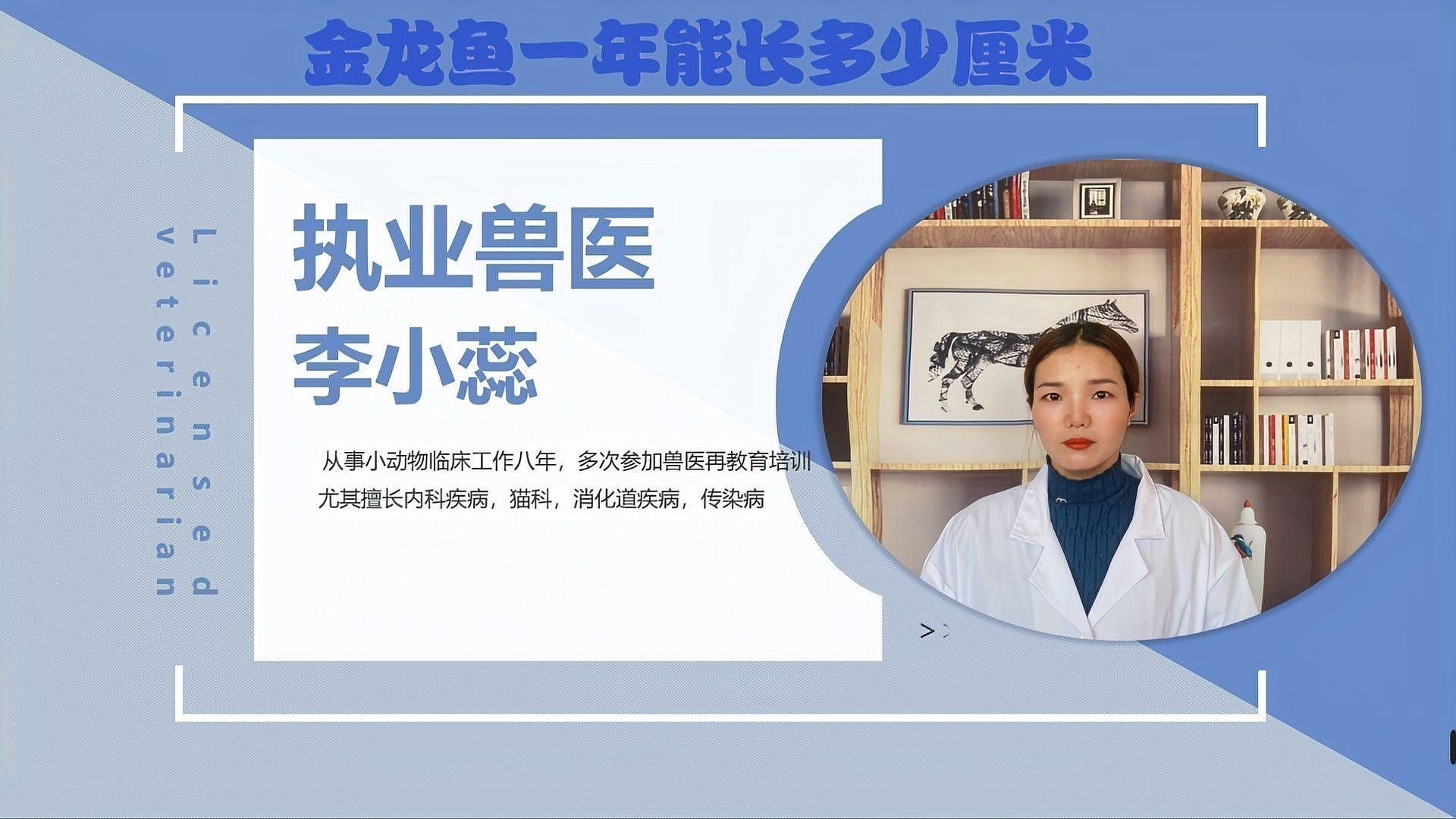 龍魚多久可以長到40