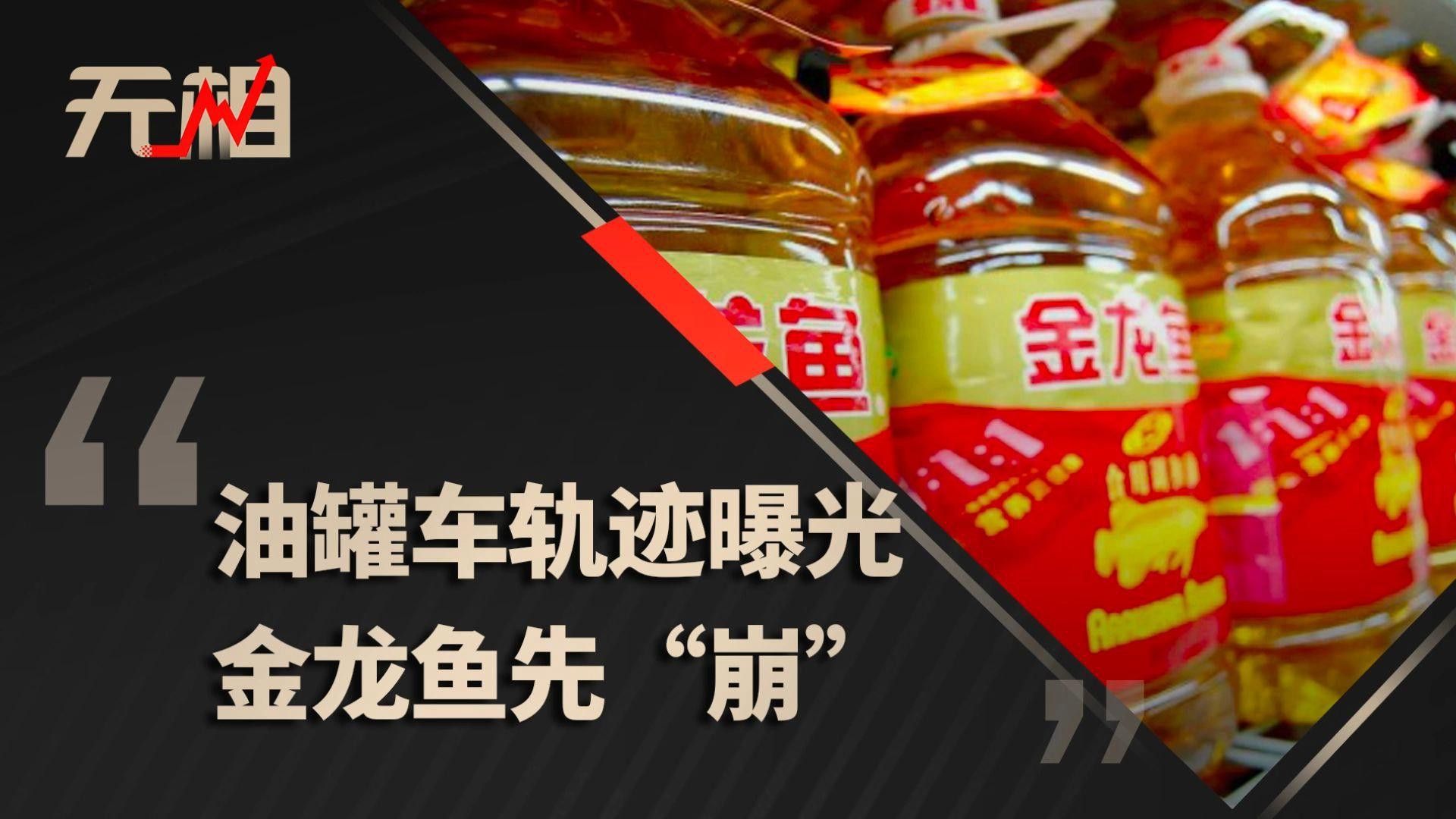 金龍魚的價格波動歷史是怎樣的？