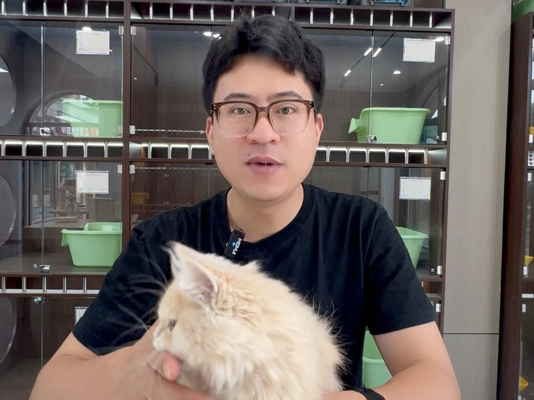 哪個品種更受歡迎？