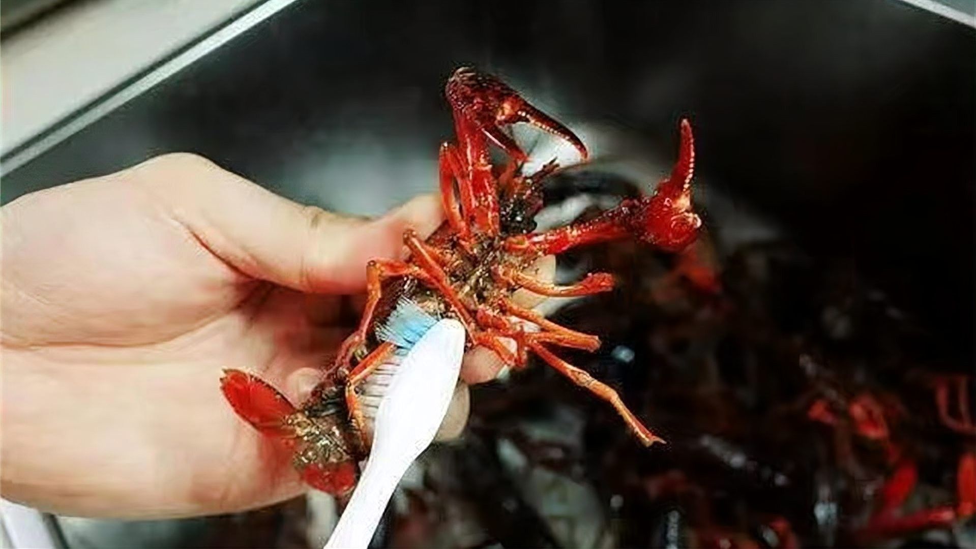 龍魚游起來無力：龍魚游動無力可能是由多種原因引起的