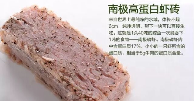 龍魚(yú)的魚(yú)鱗掉了一個(gè)可以恢復(fù)嗎：龍魚(yú)吃淡水蝦還是海蝦,龍魚(yú)吃淡水蝦還是海蝦吃蝦嗎