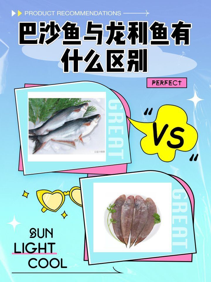龍利魚和巴沙魚樣子