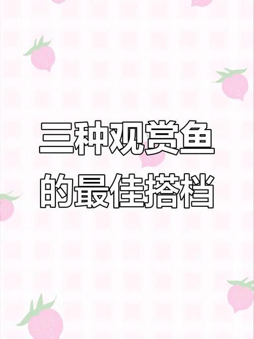 銀龍魚孵化小魚