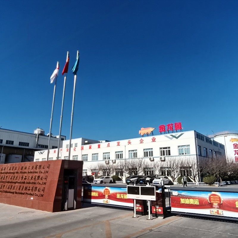 金龍魚石家莊高邑代理