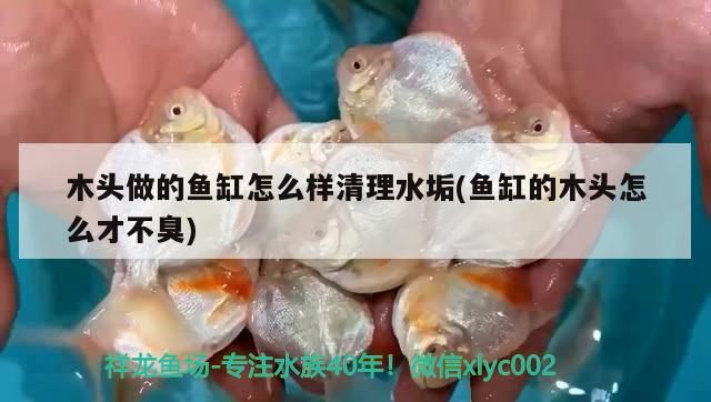 木頭做的魚缸怎么樣清理水垢(魚缸的木頭怎么才不臭)