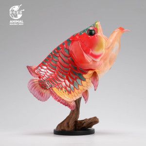龍魚總是張嘴甩頭是怎么回事（龍魚總是張嘴甩頭怎么回事）