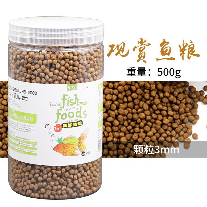 龍魚(yú)喂啥：龍魚(yú)喂養(yǎng)指南