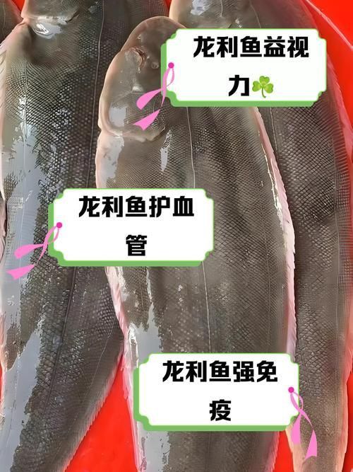 龍魚風(fēng)水作用與禁忌圖片