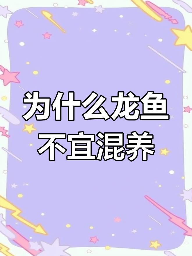 龍魚為什么不能養(yǎng)兩條