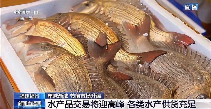 福州龍魚市場怎么樣啊現在