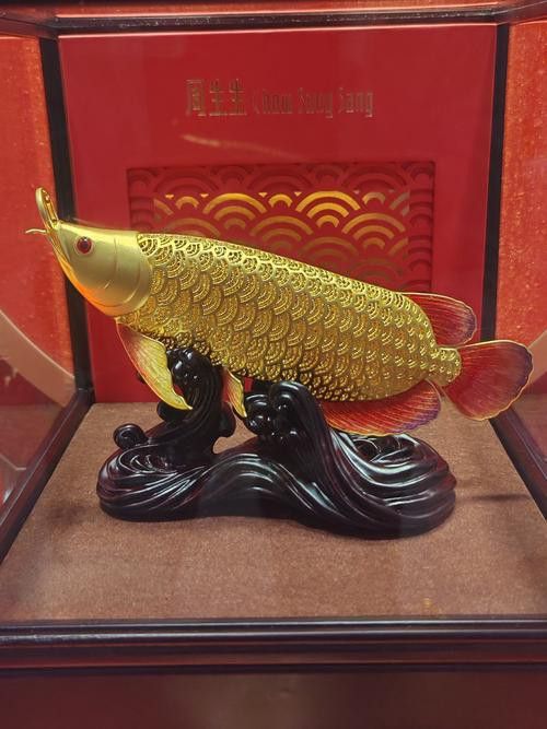 金龍魚怎么擺