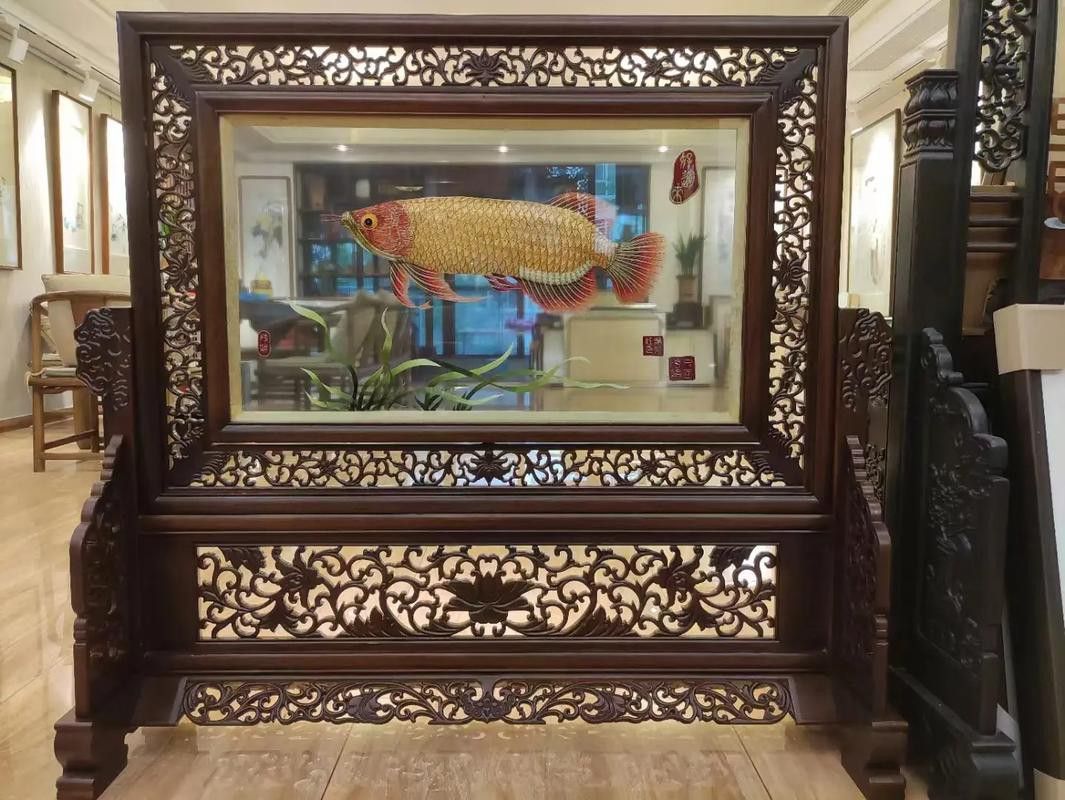 金龍魚怎么擺