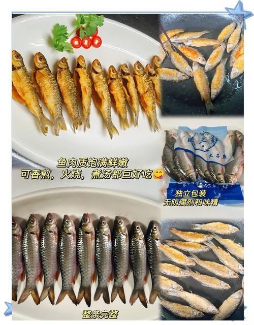 馬來西亞市場常見魚類圖片