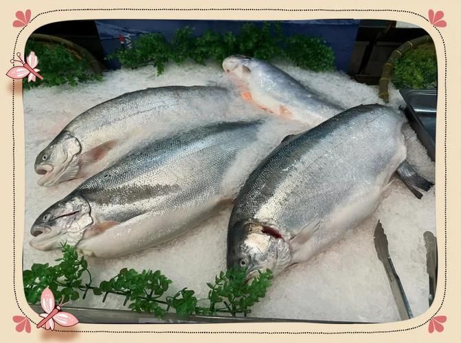 馬來西亞市場常見魚類圖片