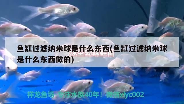 魚缸過濾納米球是什么東西(魚缸過濾納米球是什么東西做的)