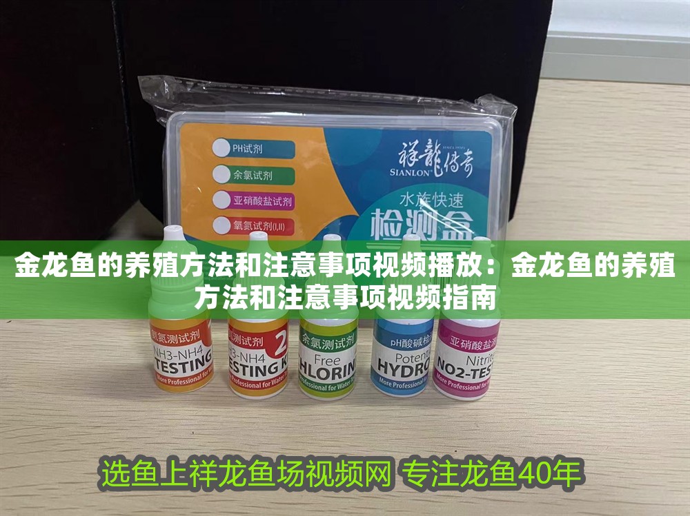 金龍魚(yú)的養(yǎng)殖方法和注意事項(xiàng)視頻播放：金龍魚(yú)的養(yǎng)殖方法和注意事項(xiàng)視頻指南