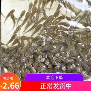 龍魚(yú)吃草金：草金魚(yú)的營(yíng)養(yǎng)價(jià)值分析