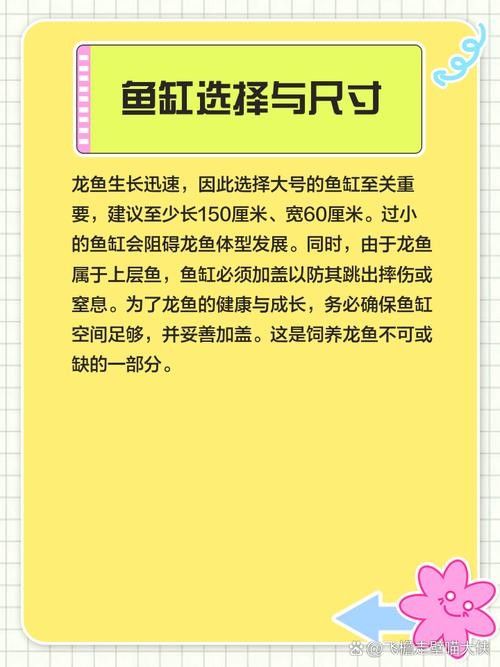 龍魚跳缸后能喂食嗎怎么喂