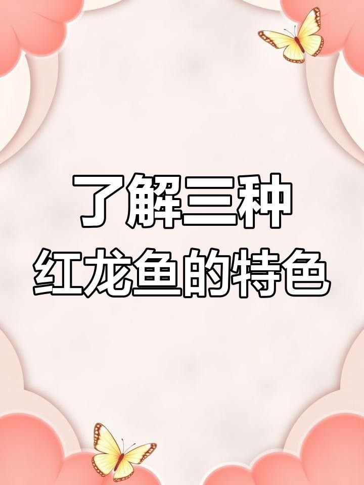 血紅龍魚和辣椒紅龍的區(qū)別