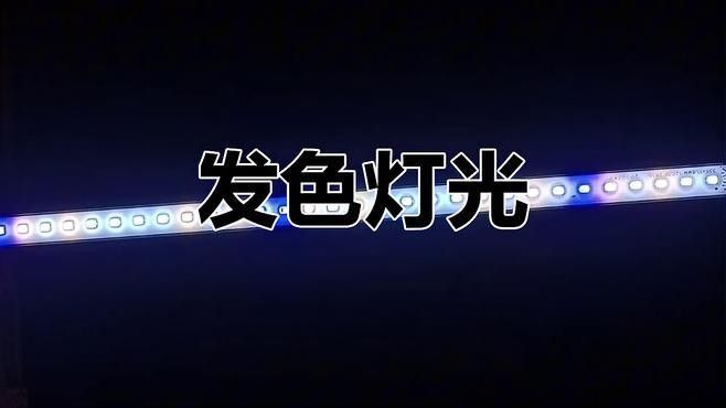 雷龍魚群養需要哪些裝飾物？