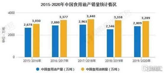 魚缸能用幾年不漏水嗎（如何正確維護魚缸延長壽命）