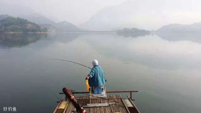 銀龍魚苗成長期的水質變化：銀龍魚苗在成長期對水質的要求是多方面的，銀龍魚苗對水質的影響