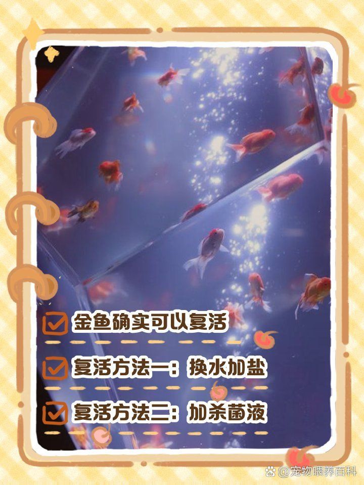 金魚死了還能復活嗎