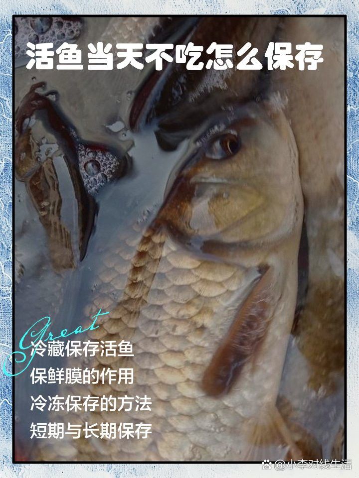 如何保存福龍魚以保持其新鮮度？
