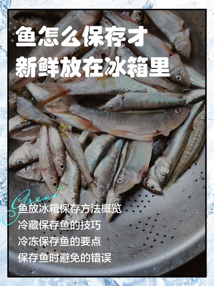 如何保存福龍魚以保持其新鮮度？