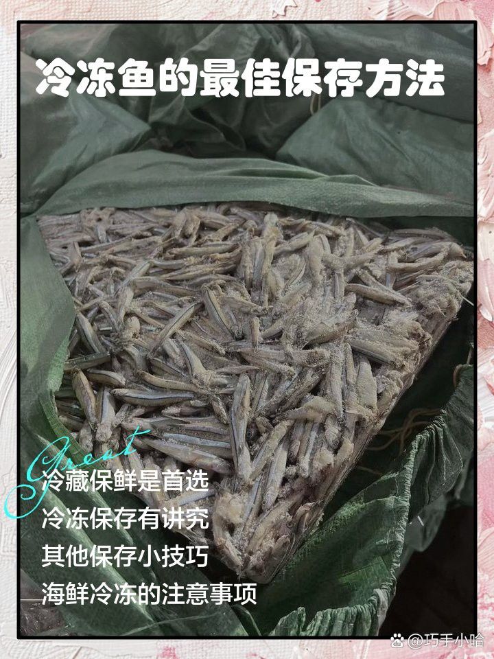 如何保存福龍魚以保持其新鮮度？