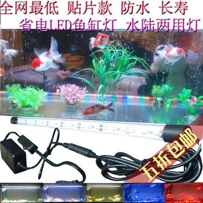 龍魚燈管應該放在哪個部位（龍魚燈管擺放位置）