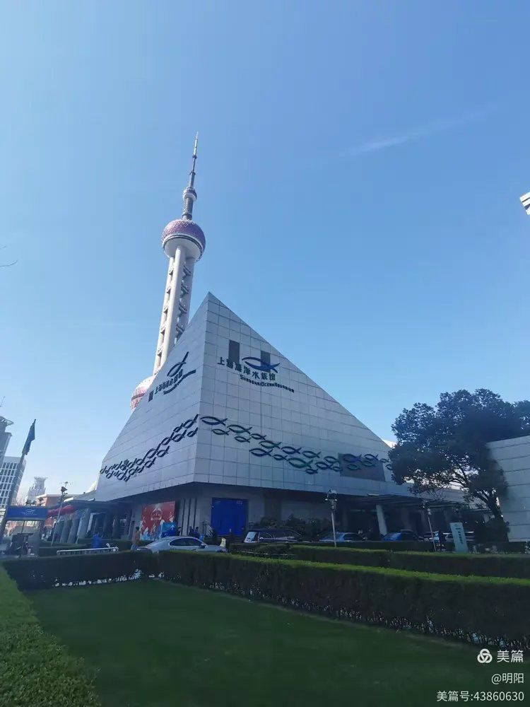 陸家嘴海洋水族館門票價格