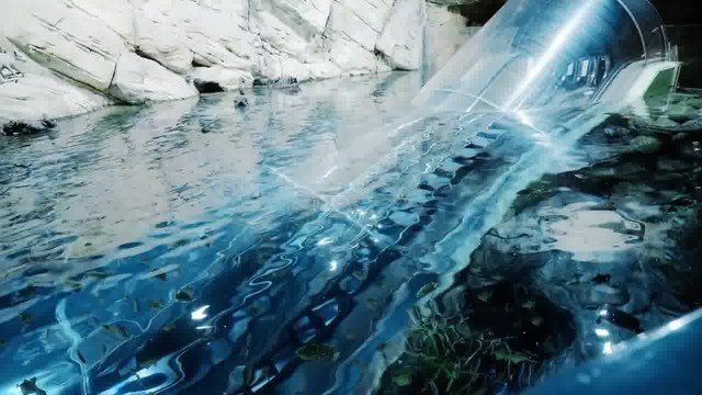 陸家嘴海洋水族館門票價格