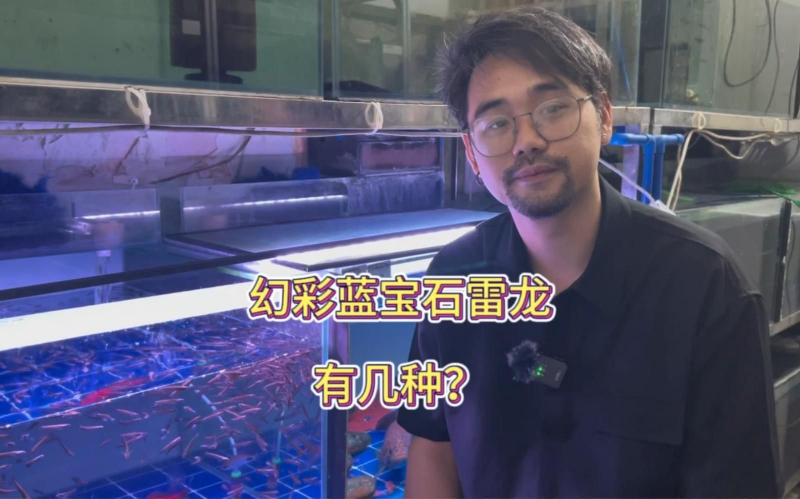 藍寶石魚有幾種