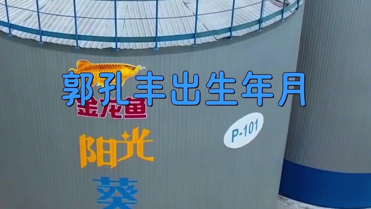 金龍魚總董事長