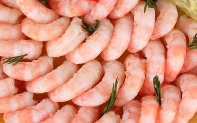 龍魚喂蝦仁會腸炎嗎：龍魚喂蝦仁會導致腸炎嗎？