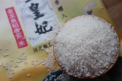 金龍魚白色顆粒【金龍魚出現(xiàn)白色顆粒是怎么回事】