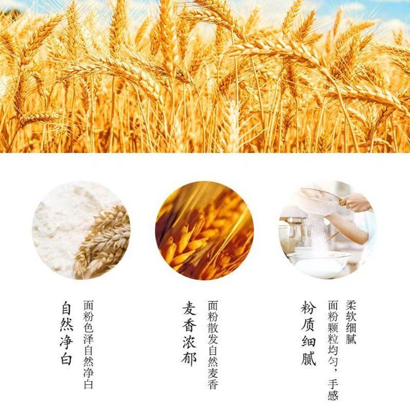 金龍魚白色顆粒【金龍魚出現(xiàn)白色顆粒是怎么回事】