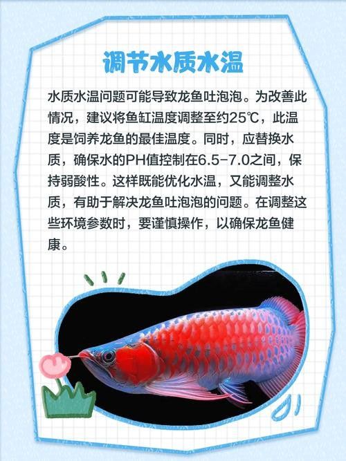 龍魚浮在水面