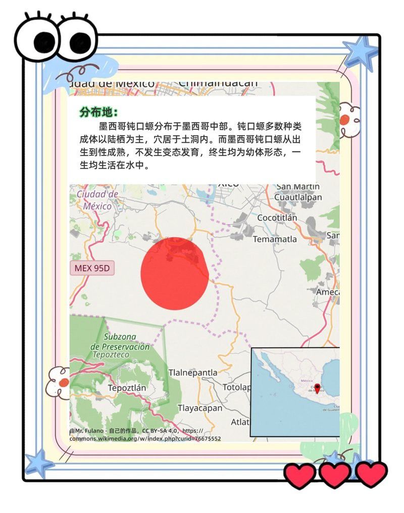 六角恐龍成年后體色還會變嗎？