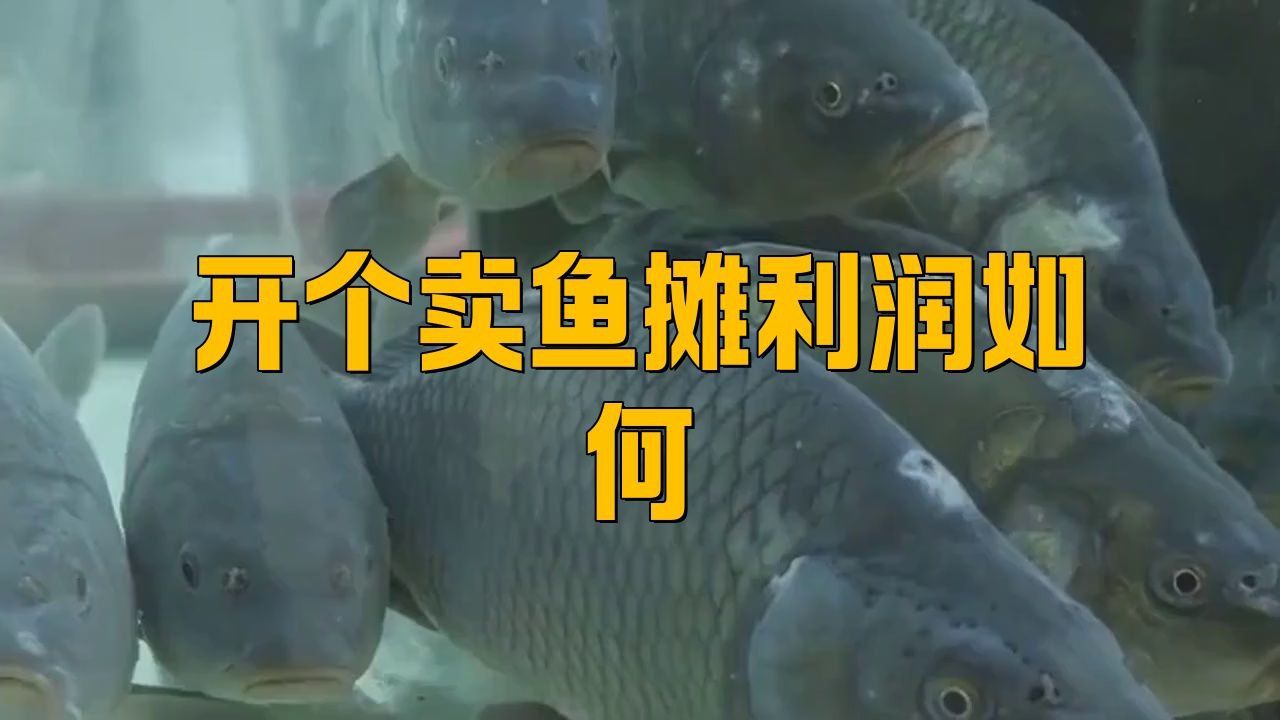 賣魚的利潤一般有多少