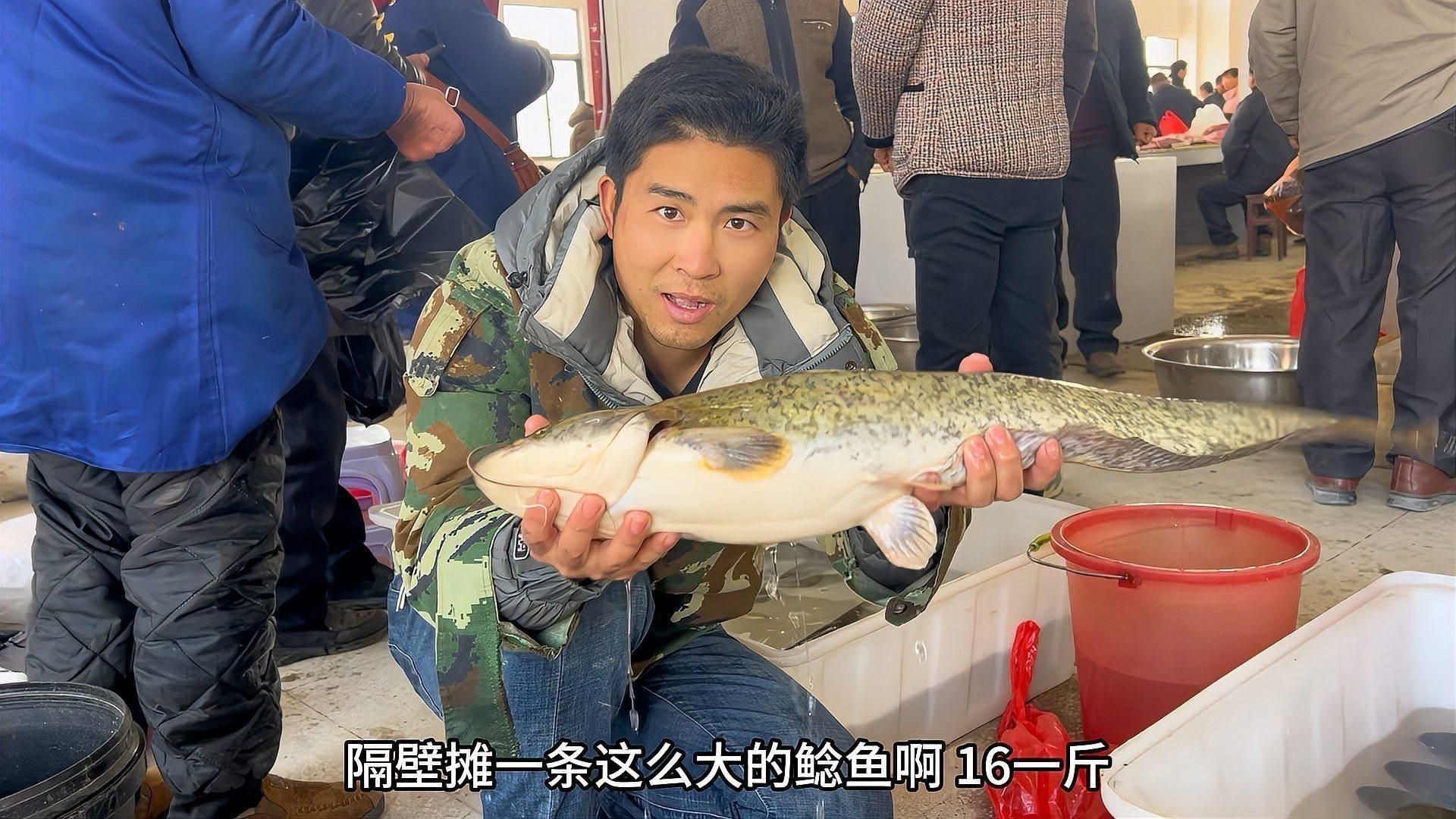 賣魚的利潤一般有多少