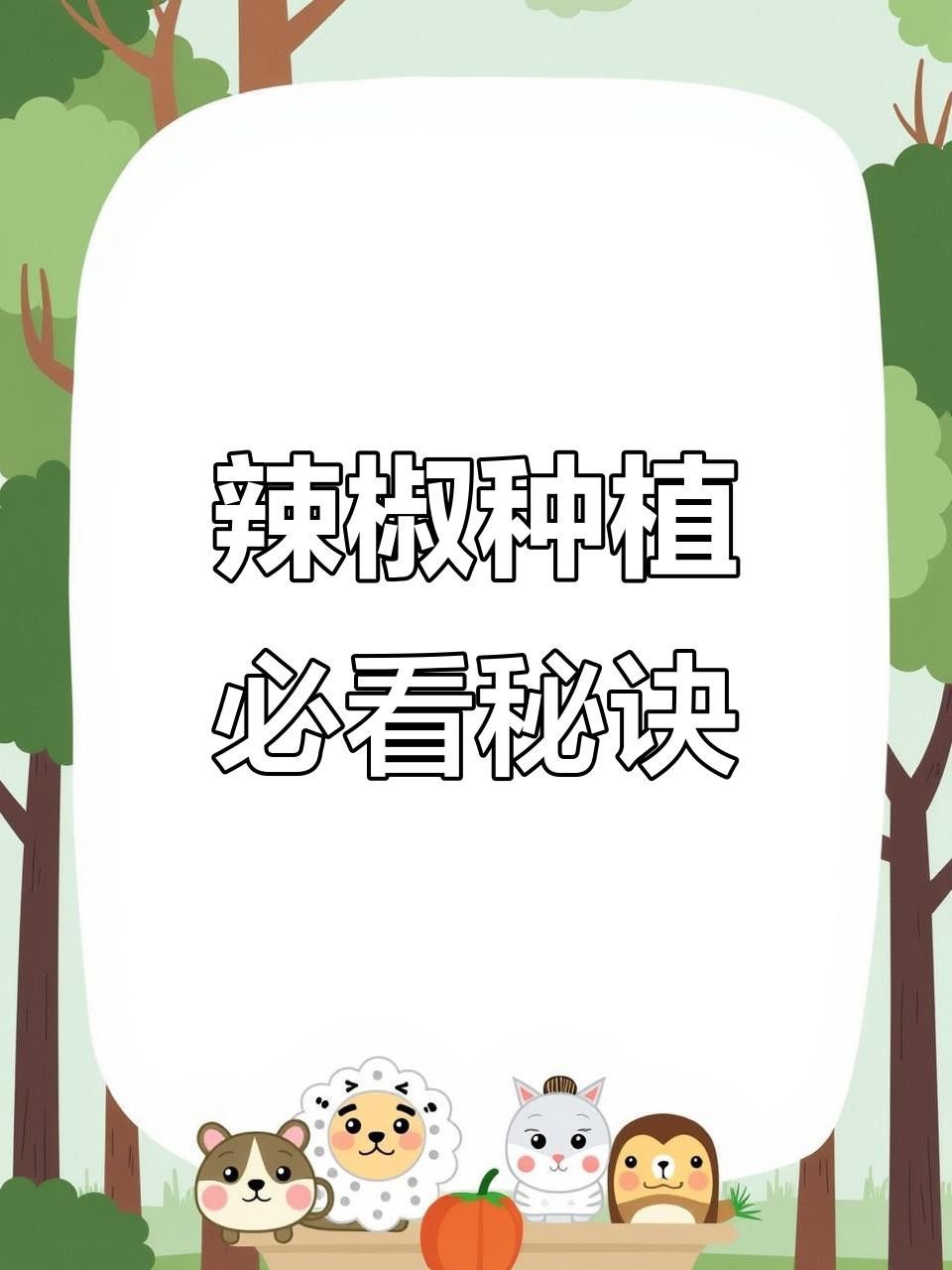 如何育苗紅龍23辣椒？
