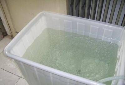 養龍魚的缸有什么要求：養龍魚需要一個合適大小的魚缸