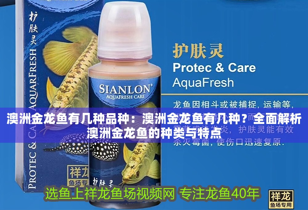 澳洲金龍魚有幾種品種：澳洲金龍魚有幾種？全面解析澳洲金龍魚的種類與特點