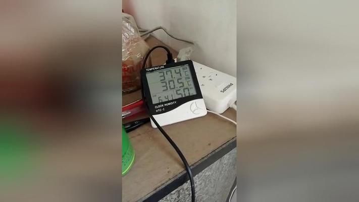 如果龍魚的溫度達到37度會怎么樣呢視頻：水溫達到37度對龍魚的具體影響