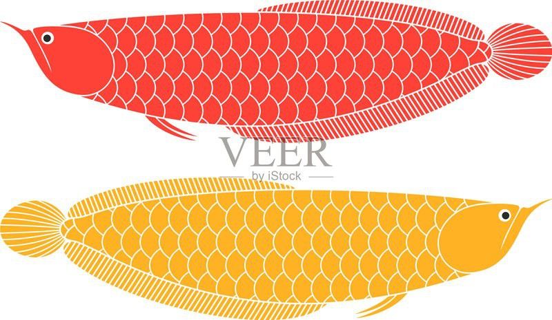 推薦幾個高清全龍魚圖片的圖庫網(wǎng)站