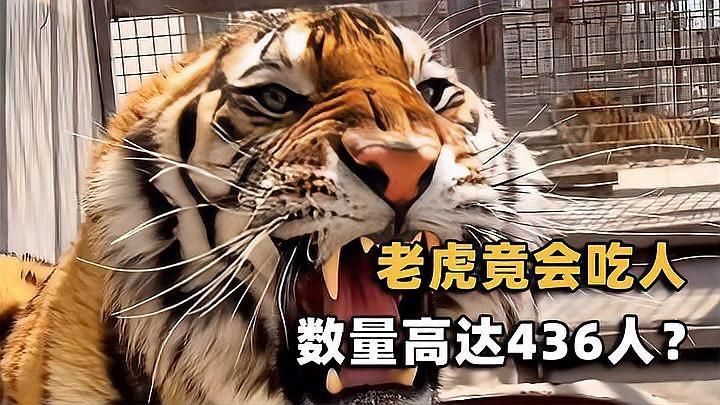 老虎吃過人會(huì)被擊斃嗎