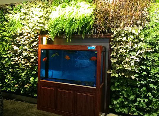 福州魚缸批發市場（福州魚缸批發市場價格）