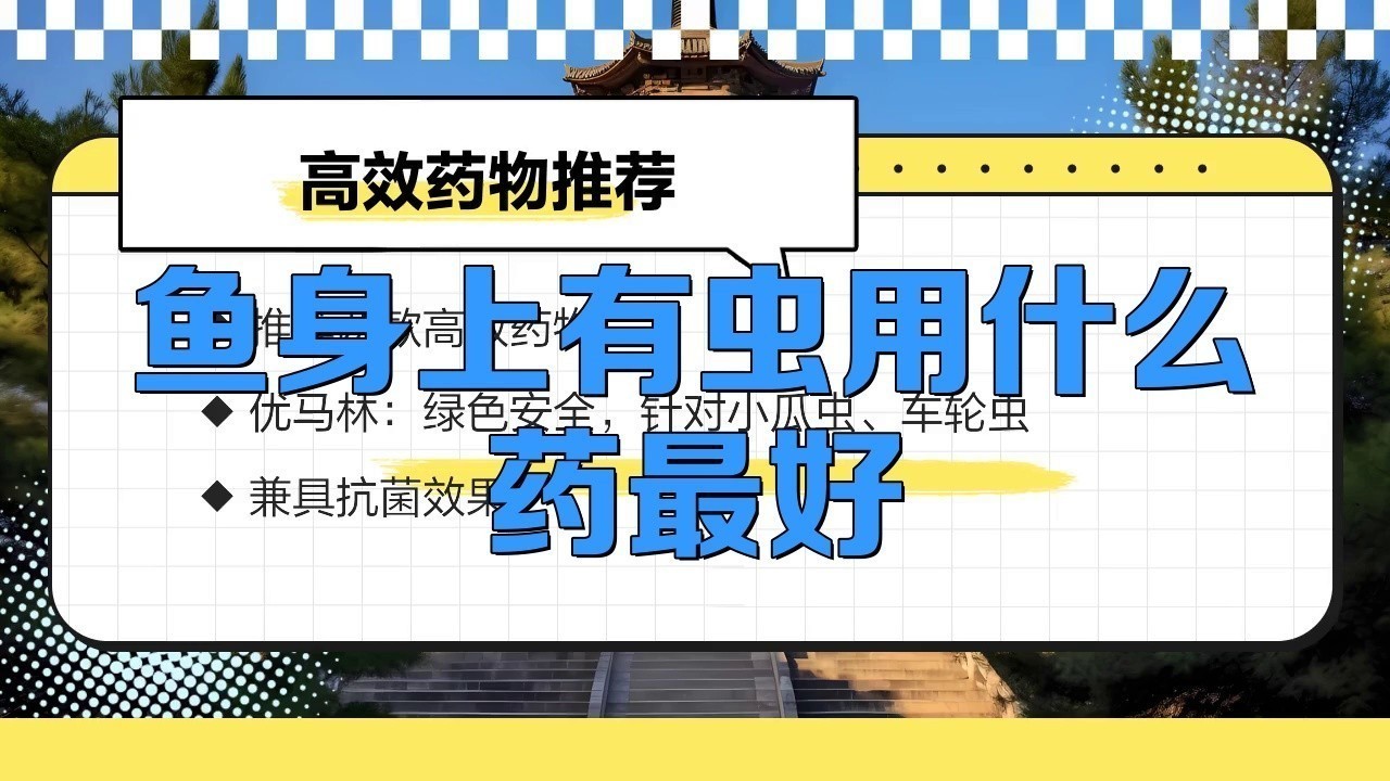 有哪些安全的龍魚內(nèi)寄生蟲藥物？